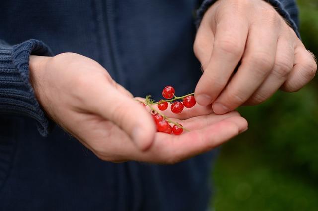 Jak udržovat bio jogurty čerstvé a chutné?