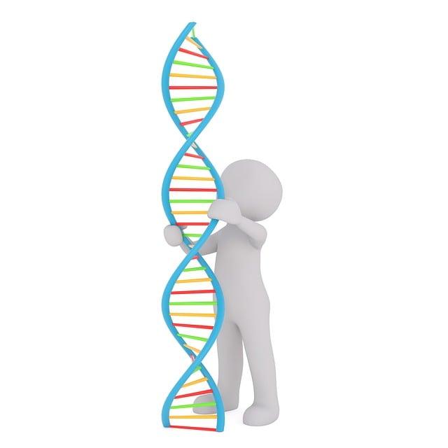 Dědičnost⁣ celiakie a genetické predispozice